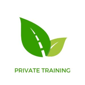 private reiki training